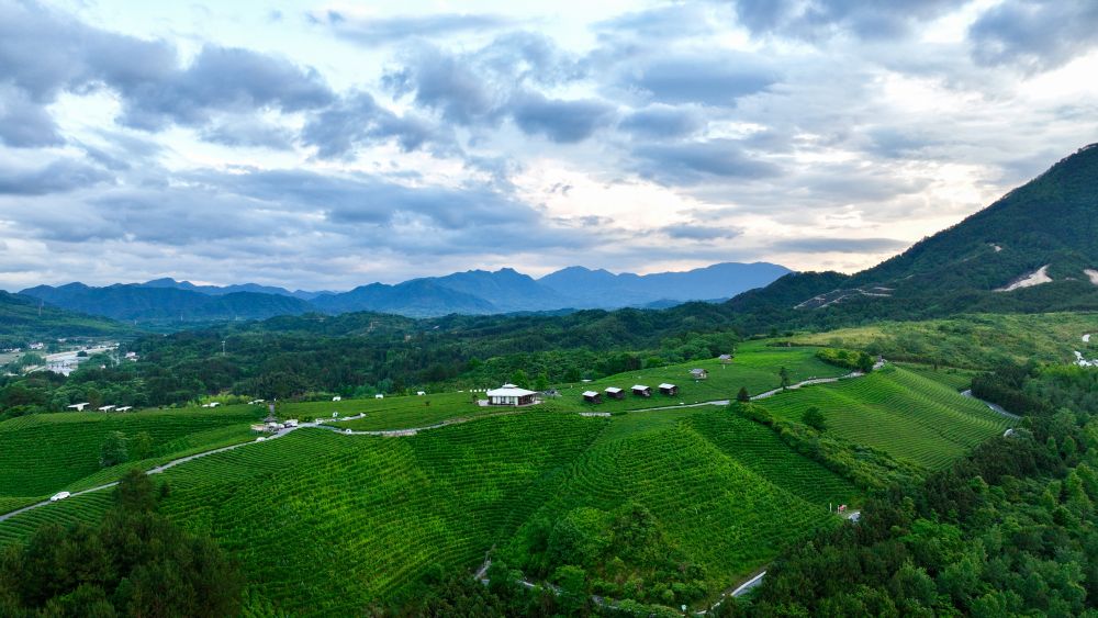 Sfondo